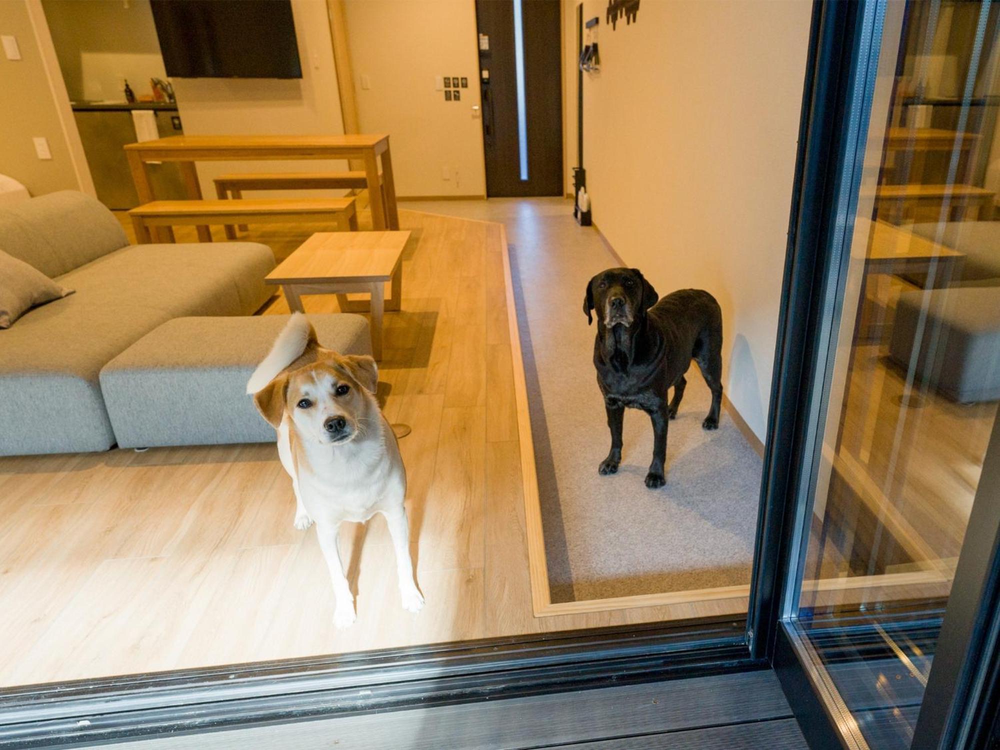 Rakuten Stay Nikko Hoden Capacity Of 4 Persons Zewnętrze zdjęcie